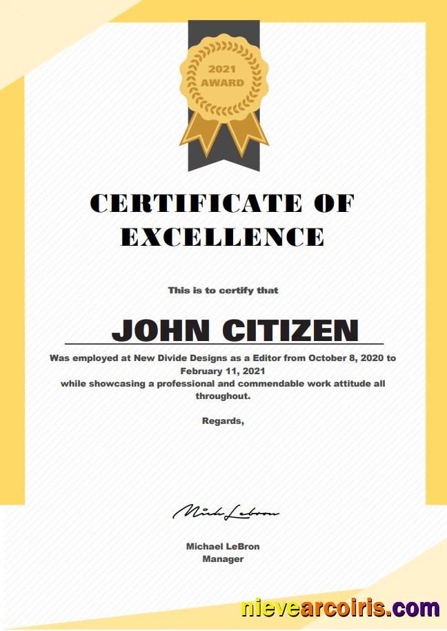 USA Excellence certificate